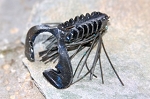 Finesse Jig n Craw Mini Kit  